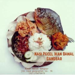 Nasi Pecel Bawal