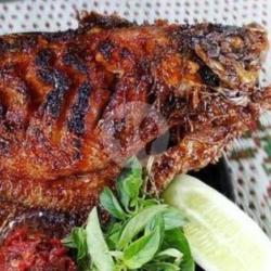 Ikan Gurami Bakar,madu,keju