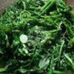 Sayur Paku Tumis