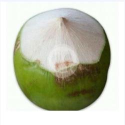 Kelapa Muda(papas)