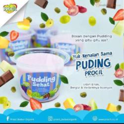 Puding Vanila