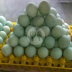 Telur Bebek Super