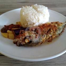 Nasi Ikan Gembung