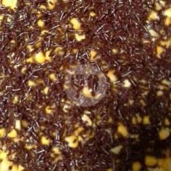 Martabak Jagung Coklat