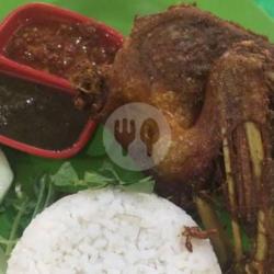 Dada Sayap Bebek Goreng   Nasi