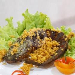 Ikan Lele Kremez ( Tidak Paket  )