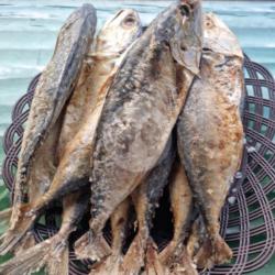 Ikan Asin Gembung