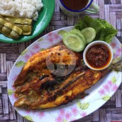 Bandeng Bakar Di Bakar Dengan Batok Kelapa Tanpa Di Goreng