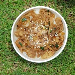 Us Black Angus Beef Rice Bowl