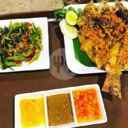 Ikan Sunu/kakap Bakar Atau Goreng