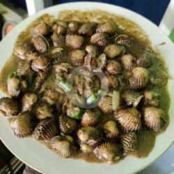 Kerang Dara Lada Hitam