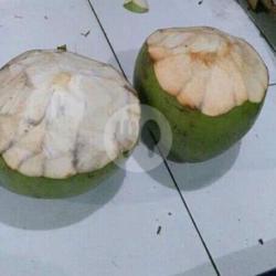 Kelapa Satuan