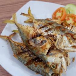 Ikan Katombok  Lombok Hijau