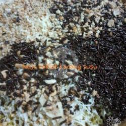 Terang Bulan Keju Kacang Coklat Susu