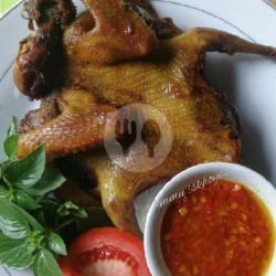 Burung Dara Goreng