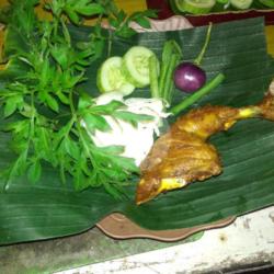 Ayam Kampus