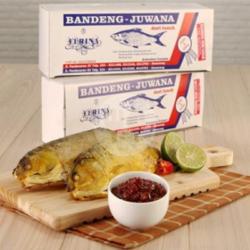 Ikan Bandeng Juwana