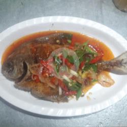 Ikan Bawal Laut