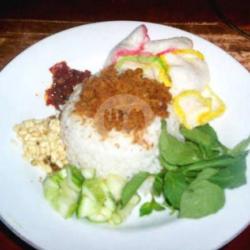 Nasi Ulam Telor Dadar Tempe Orek Kerupuk Gorengan(tempe/tahu)