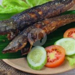 Ikan Lele Bakar