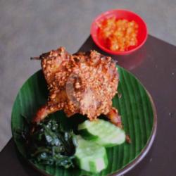 Burung Bakar Kacang