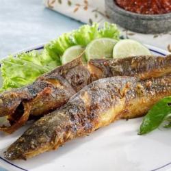 Ikan Lele Goreng  Sambal