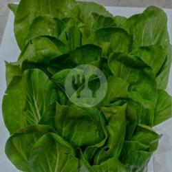 Pokcoy ( Cai Sim )
