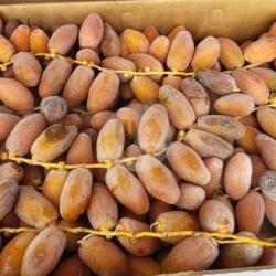 Kurma Ruthob Tangkai Madinah ( 500g )