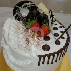 Cake Tiramisu Size 15