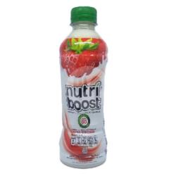 Nutri Boost 300 Ml