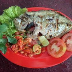 Ikan Cepa/lamuru