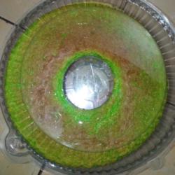 Bolu Chiffon Pandan