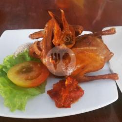 Burung Dara Goreng