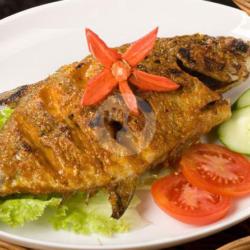 Ikan Gurami Ukuran Sedang