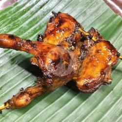 Burung Bakar Madu