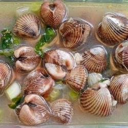 Sop Kerang