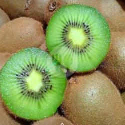 Kiwi Green 1kg