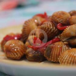 Kerang Darah