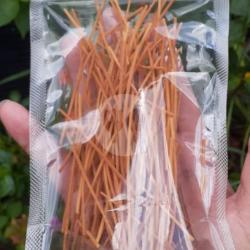 Mie Lidi