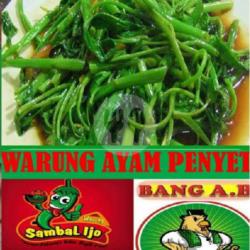 Cah Kangkung Saus Tiram