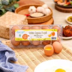 Telur Ayam Negri (10 Butir)