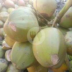 Kelapa Ijo (murni)