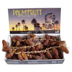 Kurma Palm Frutt