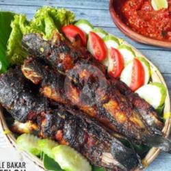 Nasi Ikan Lele Bakar