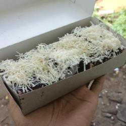 Pisang Pasir Coklat Full Keju