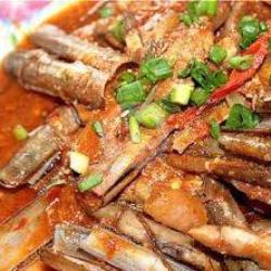 Kerang Bambu Polos